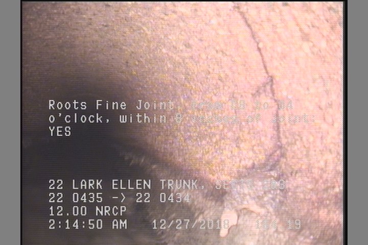 Roots Fine Joint, from 08 to 04 o'clock, within 8 inches of joint: YES