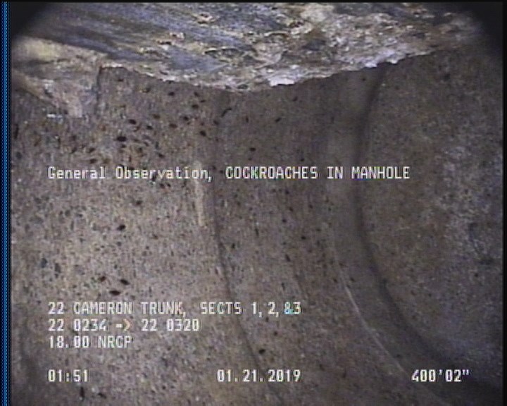 General Observation - COCKROACHES IN MANHOLE