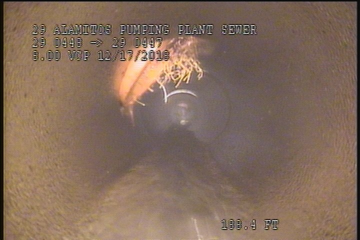 Roots Fine Lateral, from 11 to 12 o'clock - AFTER