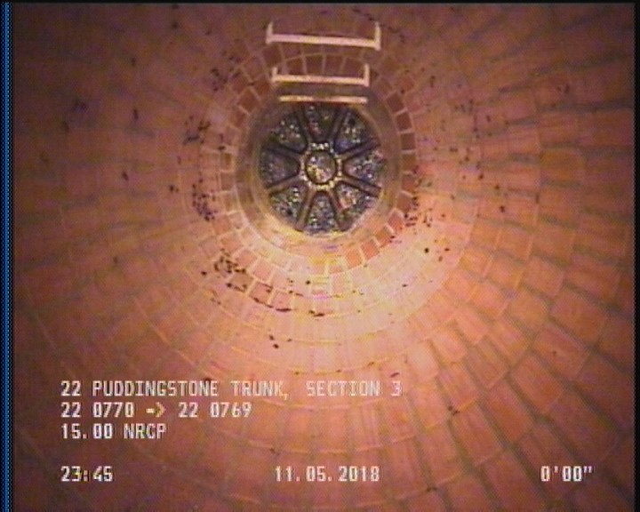 General Observation - COCKROACHES IN MANHOLE