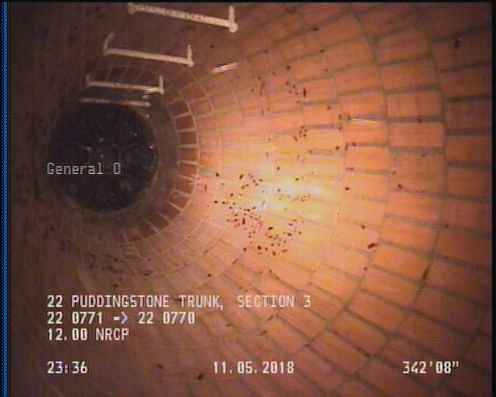 General Observation - COCKROACHES IN MANHOLE