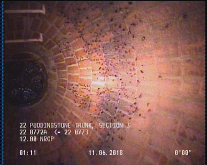 General Observation - COCKROACHES IN MANHOLE