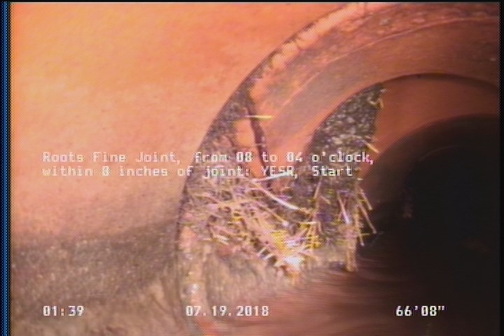 Roots Fine Joint, from 08 to 04 o'clock, within 8 inches of joint: YESR, Start
