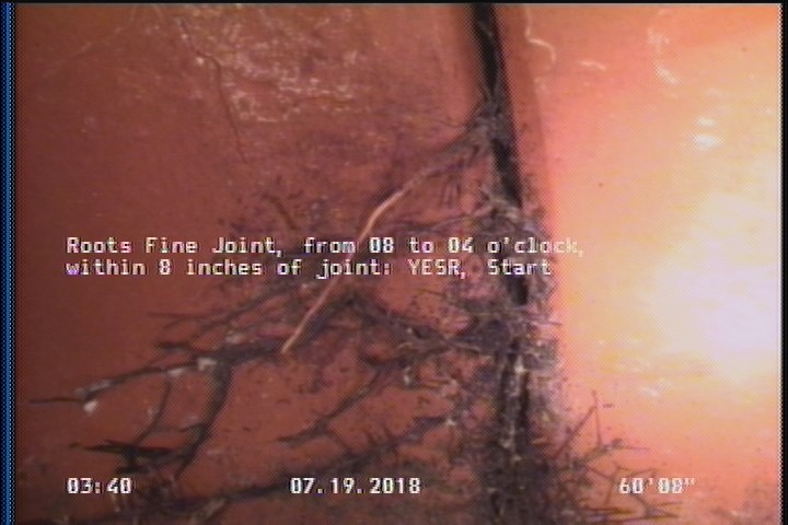 Roots Fine Joint, from 08 to 04 o'clock, within 8 inches of joint: YESR, Start