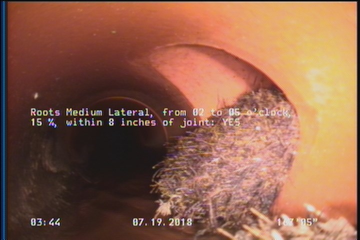 Roots Medium Lateral, from 02 to 05 o'clock, 15 %, within 8 inches of joint: YES