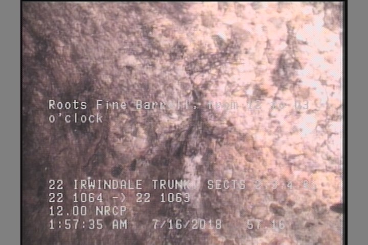 Roots Fine Barrell, from 12 to 03 o'clock