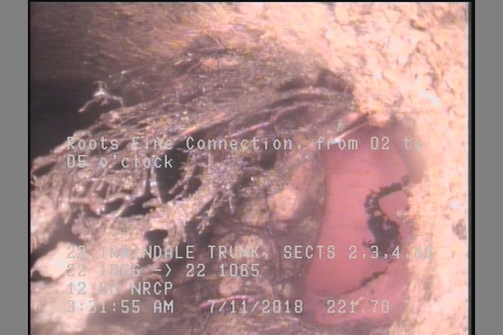 Roots Fine Connection, from 02 to 05 o'clock