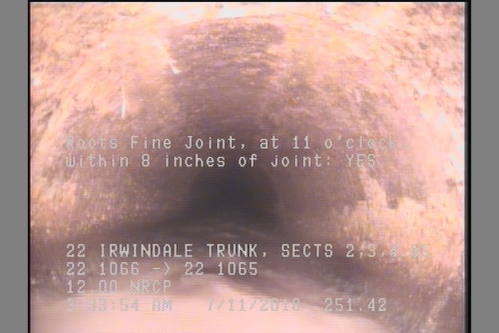 Roots Fine Joint, at 11 o'clock, within 8 inches of joint: YES