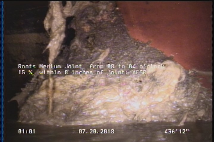 Roots Medium Joint, from 08 to 04 o'clock, 15 %, within 8 inches of joint: YESR