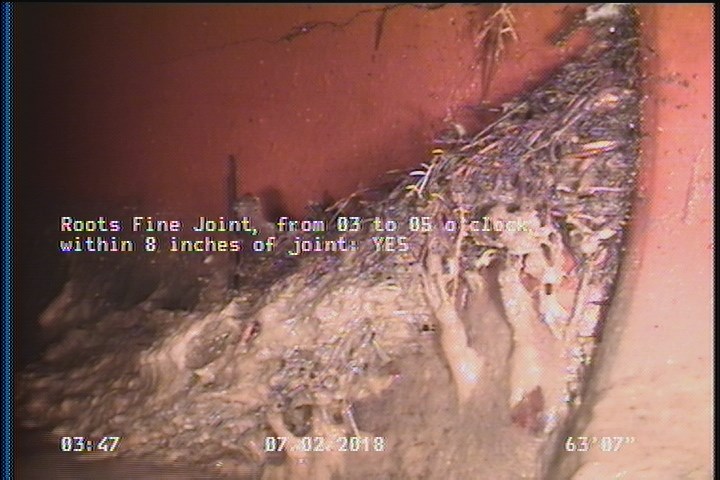 Roots Fine Joint, from 03 to 05 o'clock, within 8 inches of joint: YES