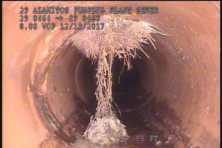 Roots Medium Lateral, from 06 to 12 o'clock, 20 %, within 8 inches of joint: YES