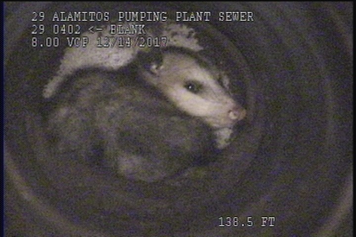 General Observation(ZOOM16') - POSSUM