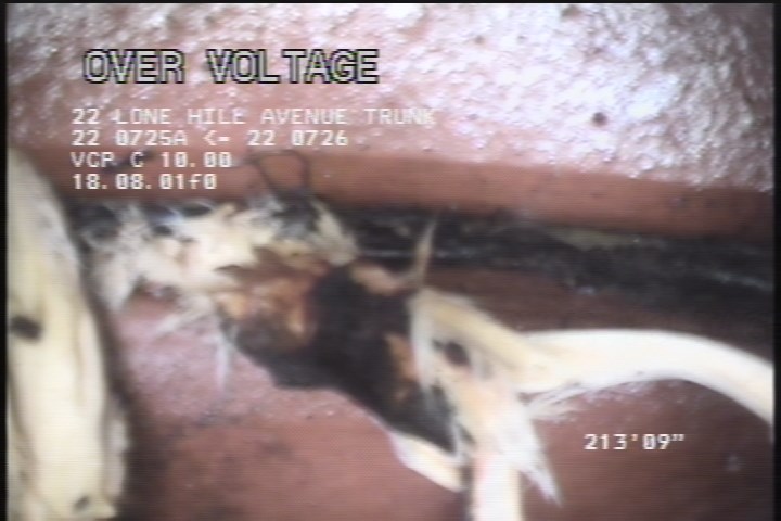 Roots Fine Joint, from 09 to 03 o'clock, within 8 inches of joint: YESR