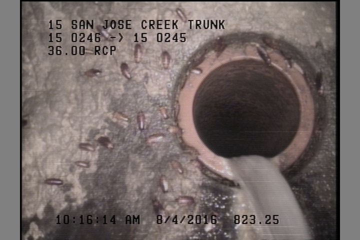 Tap Factory Made Active, at 10 o'clock, -, within 8 inches of joint: NO, 6"