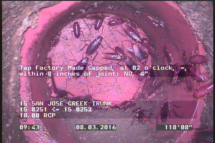 Tap Factory Made Capped, at 02 o'clock, -, within 8 inches of joint: NO, 4"