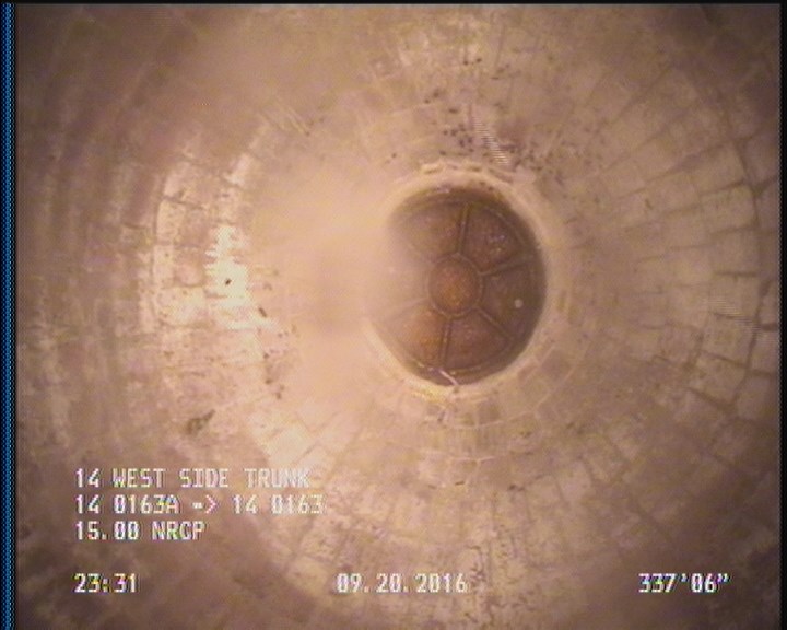 General Observation - COCKROACHES IN MANHOLE