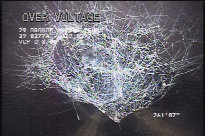 General Photograph - WEBS