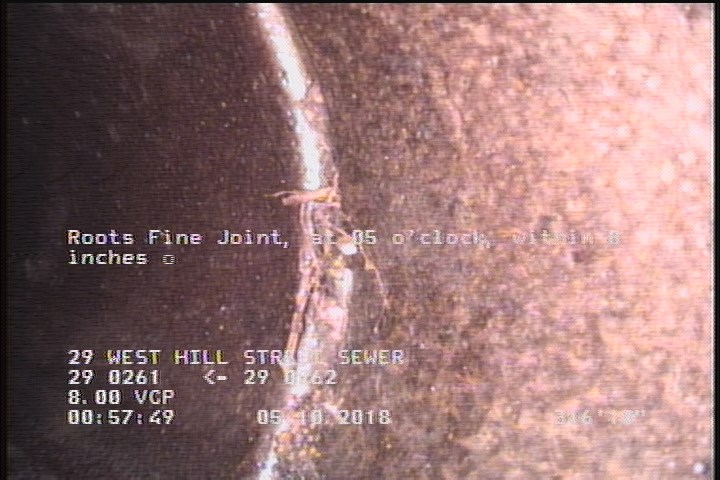 Roots Fine Joint, at 05 o'clock, within 8 inches of joint: YES