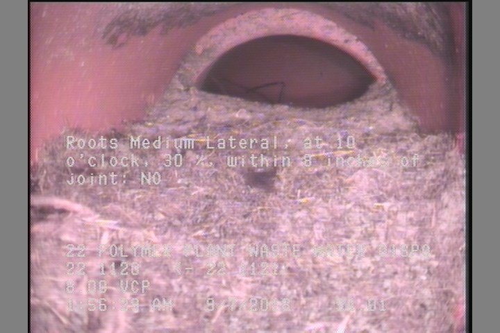 Roots Medium Lateral, at 10 o'clock, 30 %, within 8 inches of joint: NO
