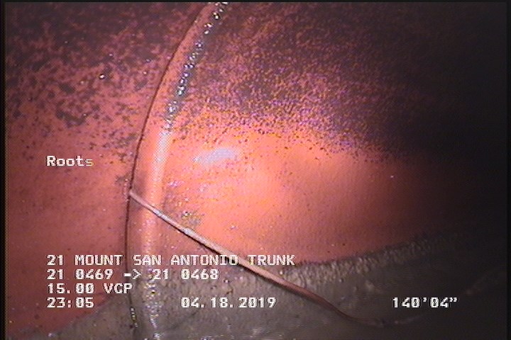 Roots Fine Joint, at 08 o'clock, within 8 inches of joint: YES