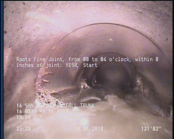 Roots Fine Joint, from 08 to 04 o'clock, within 8 inches of joint: YESR, Start