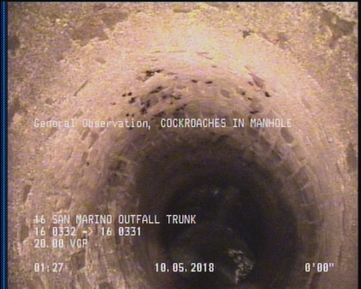 General Observation - COCKROACHES IN MANHOLE