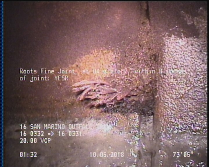 Roots Fine Joint, at 04 o'clock, within 8 inches of joint: YESR
