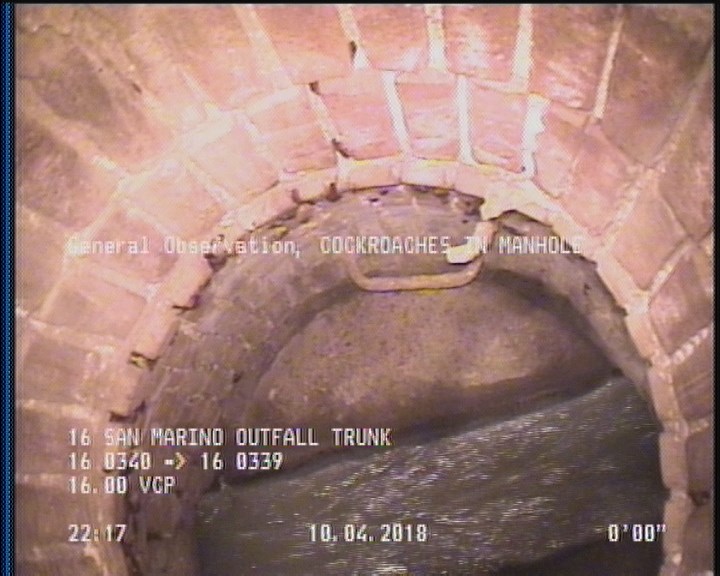 General Observation - COCKROACHES IN MANHOLE