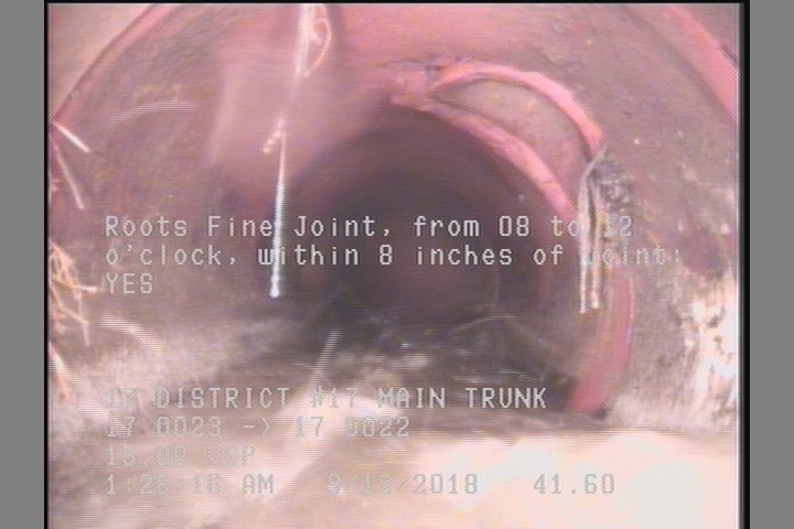 Roots Fine Joint, from 08 to 12 o'clock, within 8 inches of joint: YES