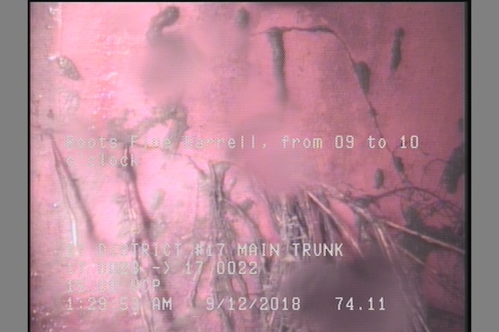 Roots Fine Barrell, from 09 to 10 o'clock