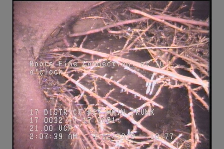Roots Fine Connection, at 10 o'clock