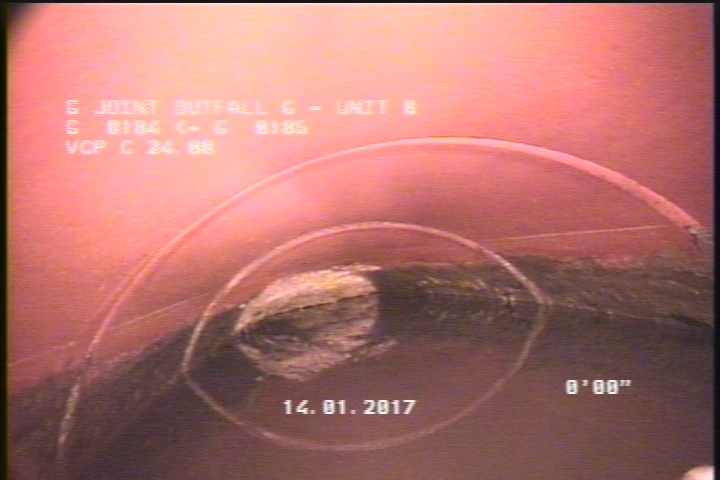 Deposits Attached Grease, 5 %of cross sectional area, from 11 to 01 o'clock, , within 8 inches of joint: YES