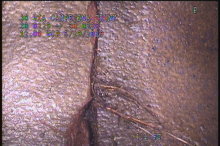 Roots Fine Joint, from 08 to 04 o'clock, within 8 inches of joint: YESR, Start