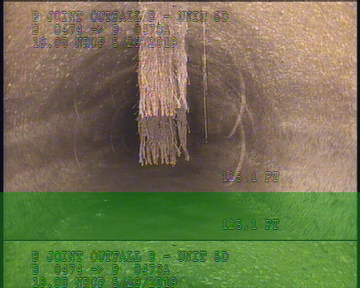 Roots Medium Lateral, from 06 to 12 o'clock, 20 %, within 8 inches of joint: YES