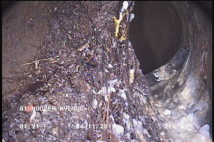 Roots Medium Lateral, at 01 o'clock, 35 %, within 8 inches of joint: YES