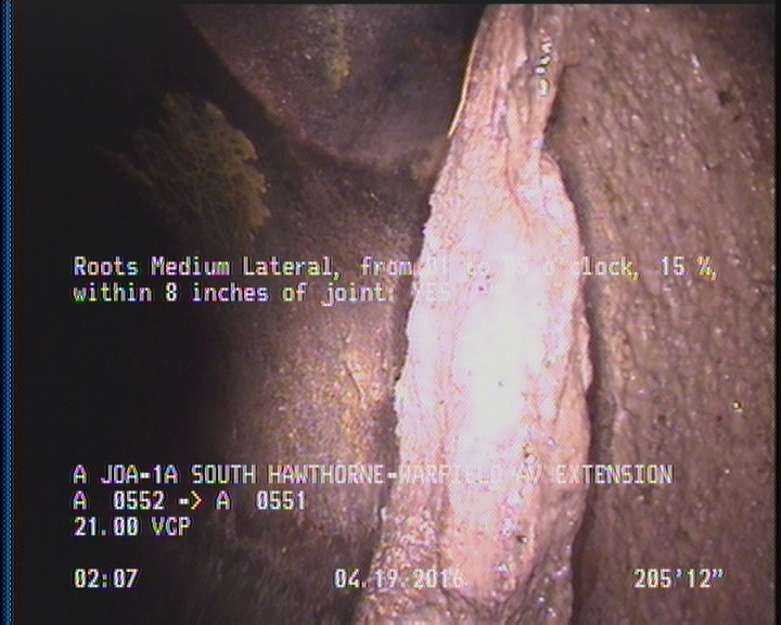 Roots Medium Lateral, from 01 to 05 o'clock, 15 %, within 8 inches of joint: YES