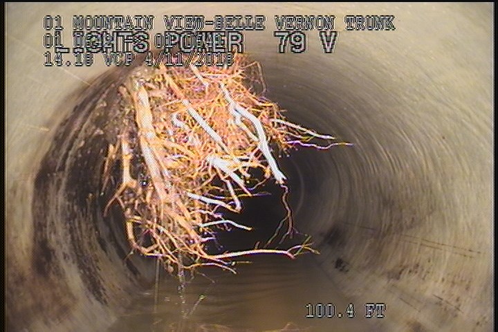 Roots Tap Lateral, at 11 o'clock, 25 %, within 8 inches of joint: NO