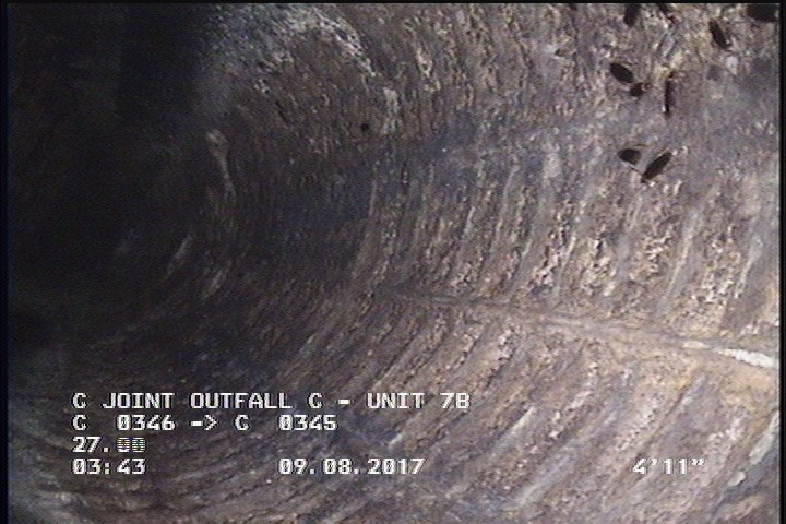 Surface Reinforcement Visible, from 09 to 03 o'clock, within 8 inches of joint: YES