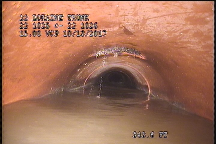 General Observation - USED TO BE 70% ROOTS
